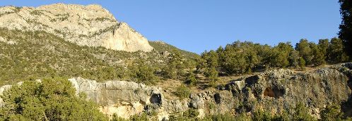 St. George 2005